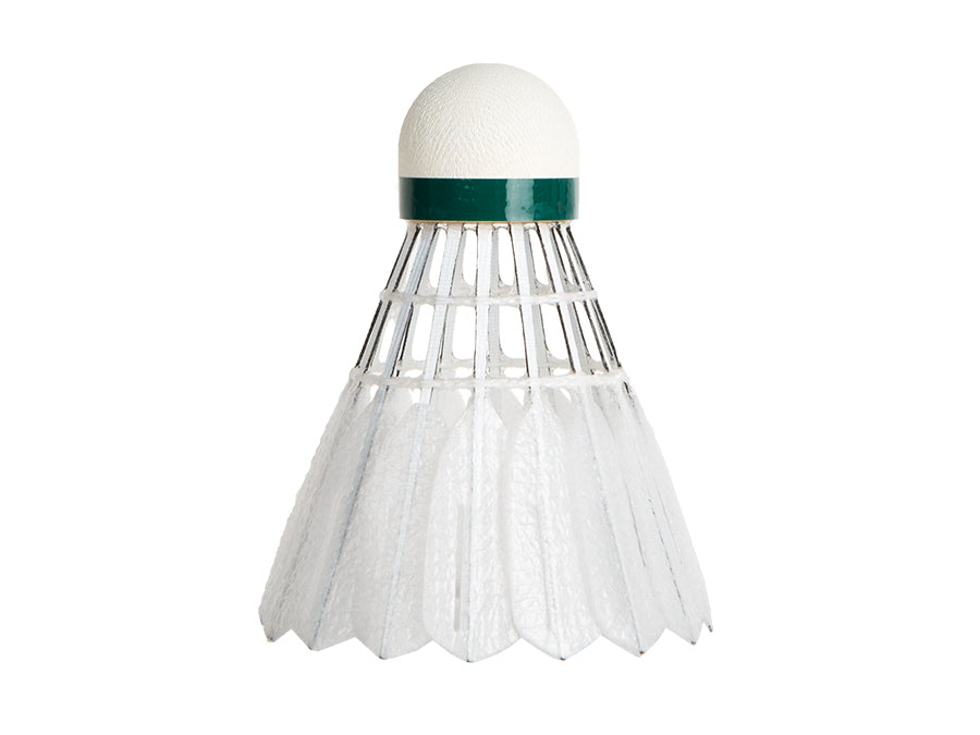 Victor NCS-12 New Carbon Sonic